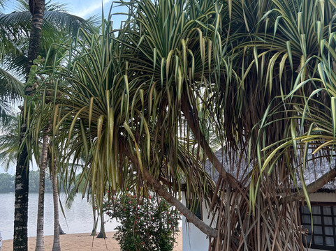 La Maison de la Lagune主图