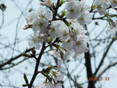 Shakuji River Green Road-板桥区必去景点