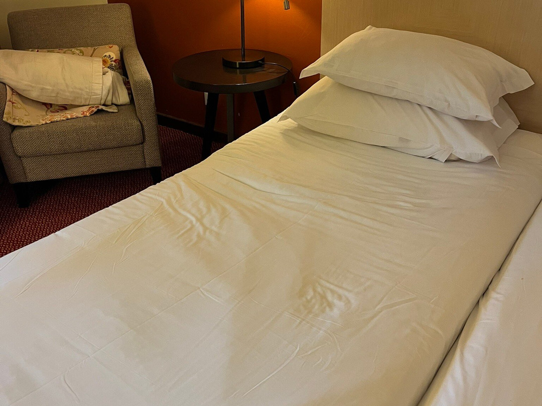 埃武拉酒店主图