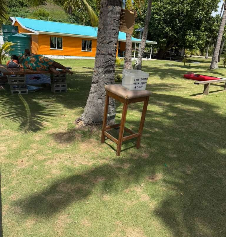 Dravuni Island-苏瓦必去景点