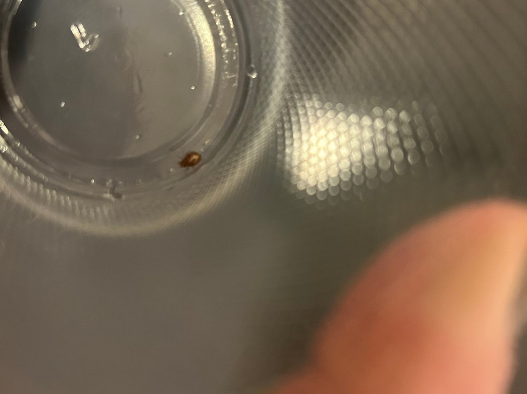 诺斯菲尔德酒店套房及会议中心主图