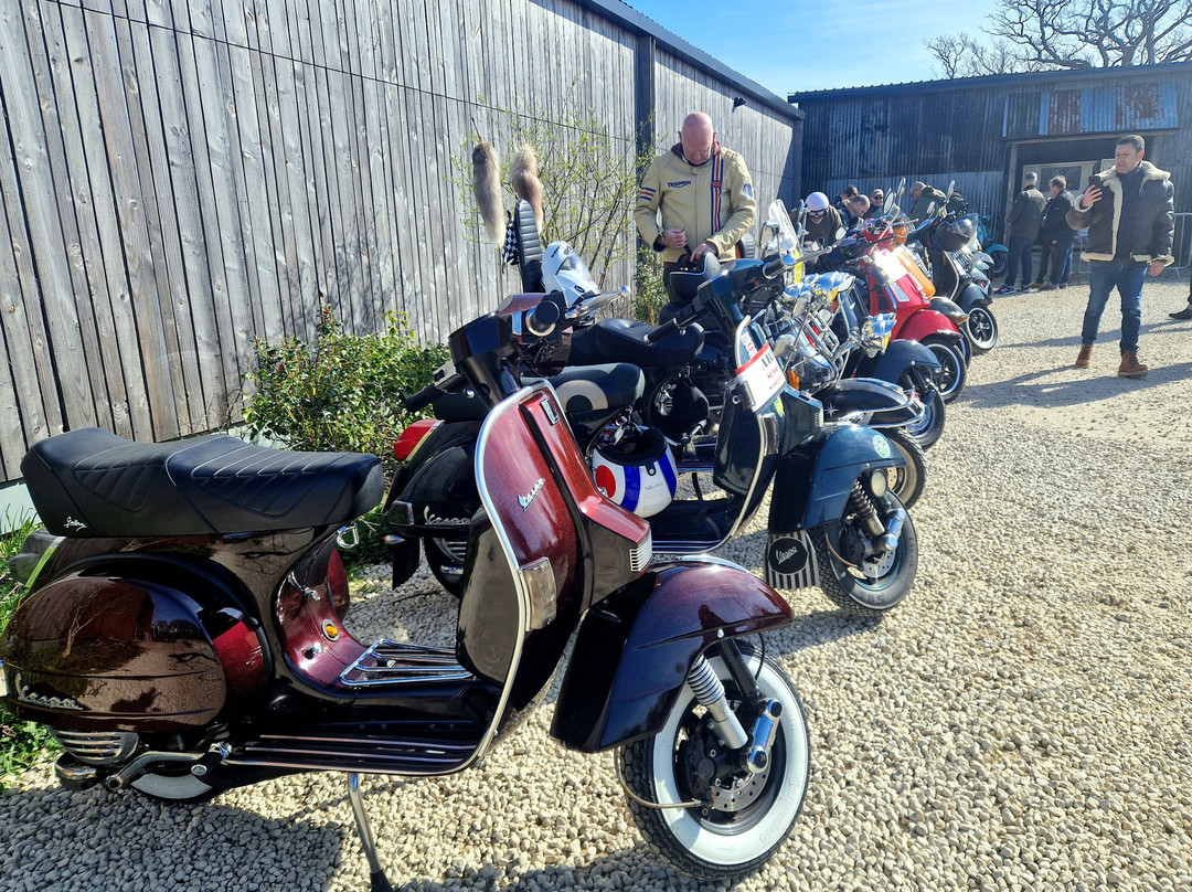 Knepp Wilding Kitchen