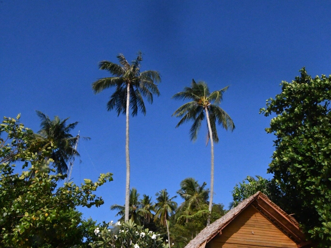 爱岛可可小屋主图