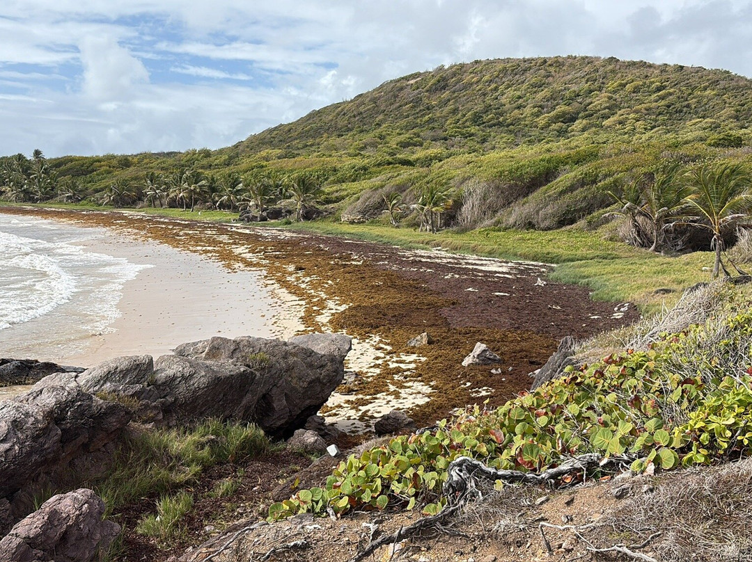Anse Grosse Roche-Le Marin必去景点