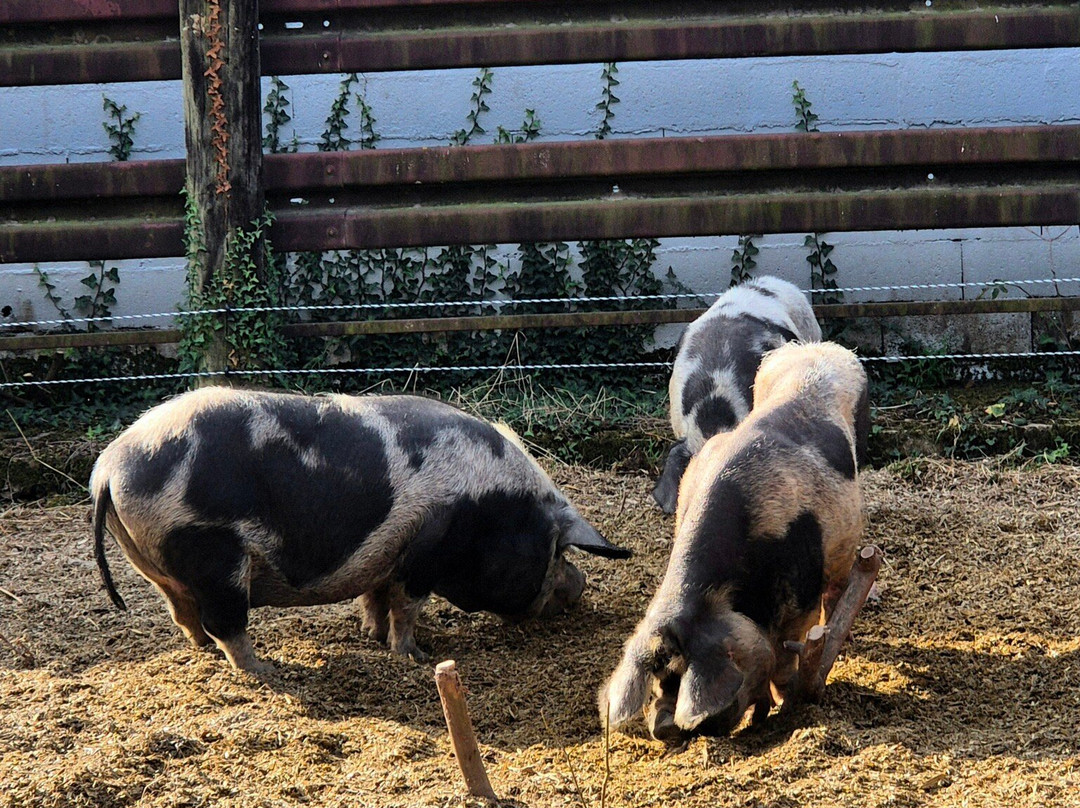 Agri'KIDS-Jarze必去景点