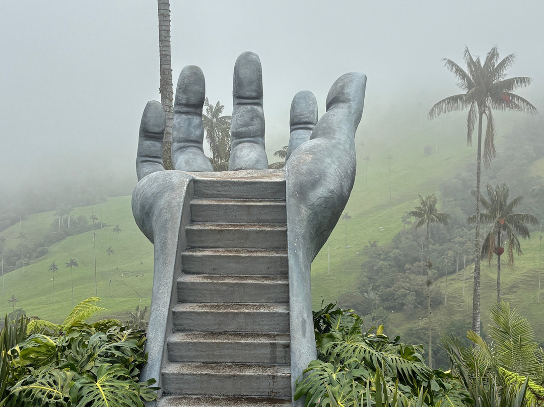 Valle De Cocora-萨伦托必去景点