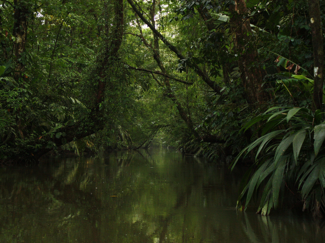 Deepgreen Eco tours-Naranjo必去景点