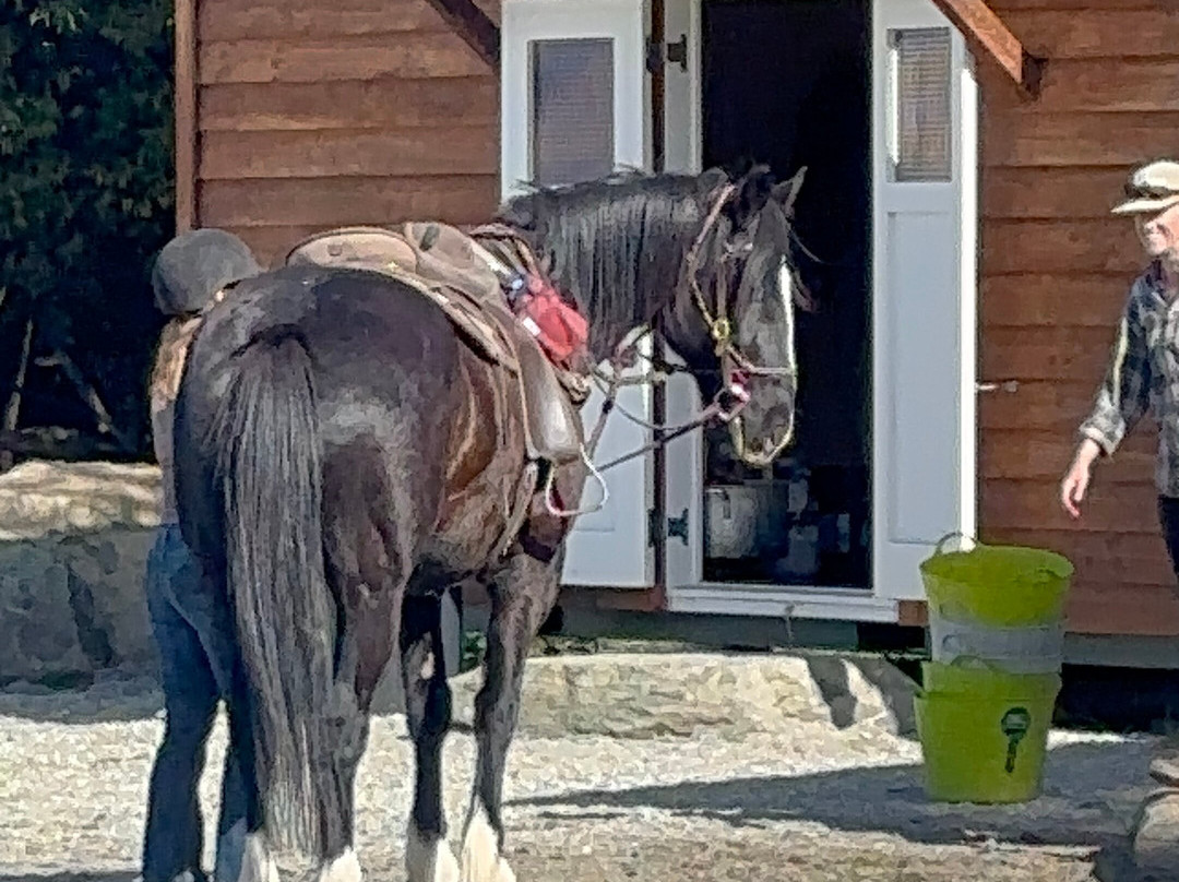 Wanaka Horse Trekking-瓦纳卡必去景点