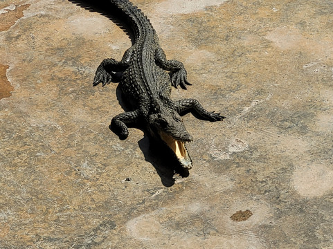 Danakil Depression Tours-亚的斯亚贝巴必去景点