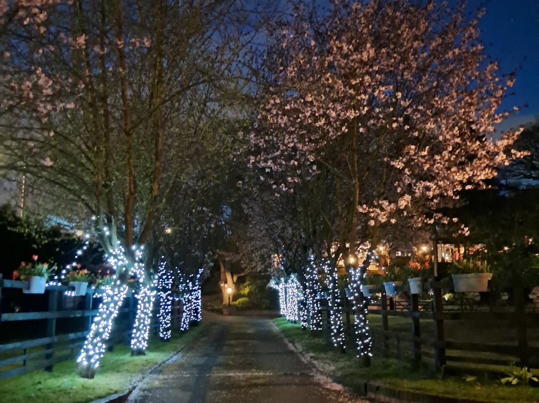 凯日曼考特庄园酒店主图