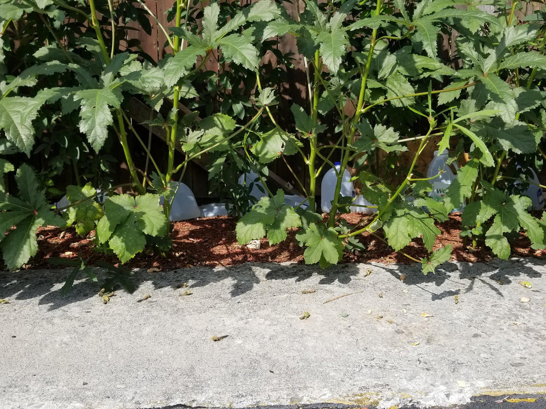 Econo Lodge Near Motor Speedway