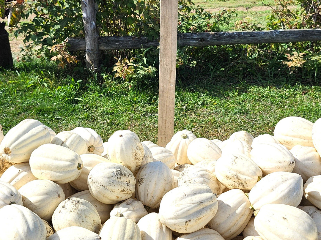 Ferme Roberge & Gosselin-Saint-Pierre-de-l'lle-d'Orleans必去景点