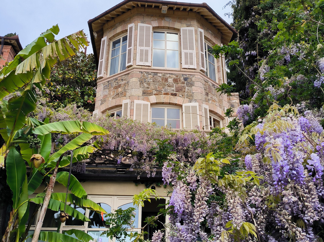 I Giardini Di Villa Della Pergola-阿拉西奥必去景点