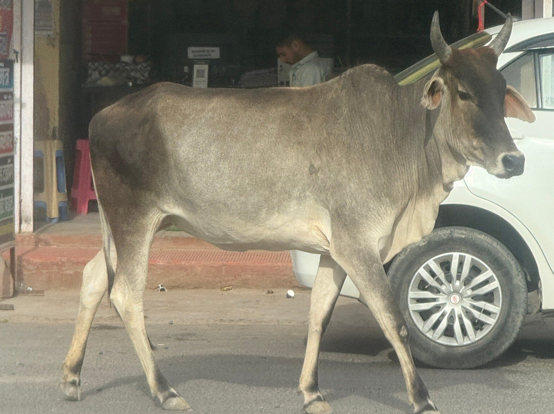 Active India Holidays-新德里必去景点