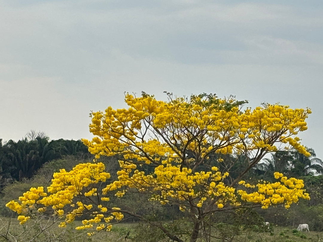 Colombia Inspira SAS-麦德林必去景点