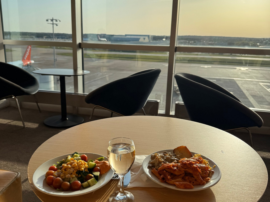 Plaza Premium Lounge Gatwick North Departures-霍利必去景点