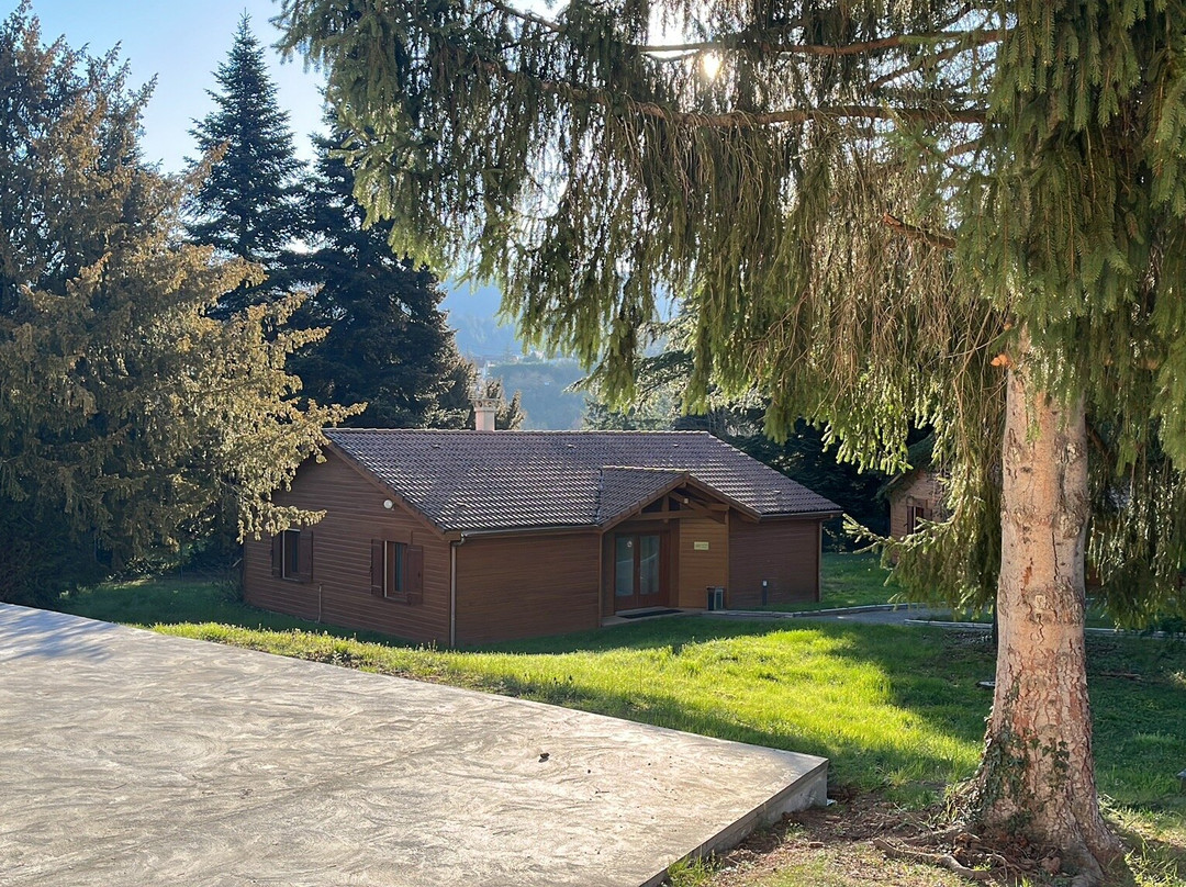 瑟德雷斯布鲁之家酒店主图