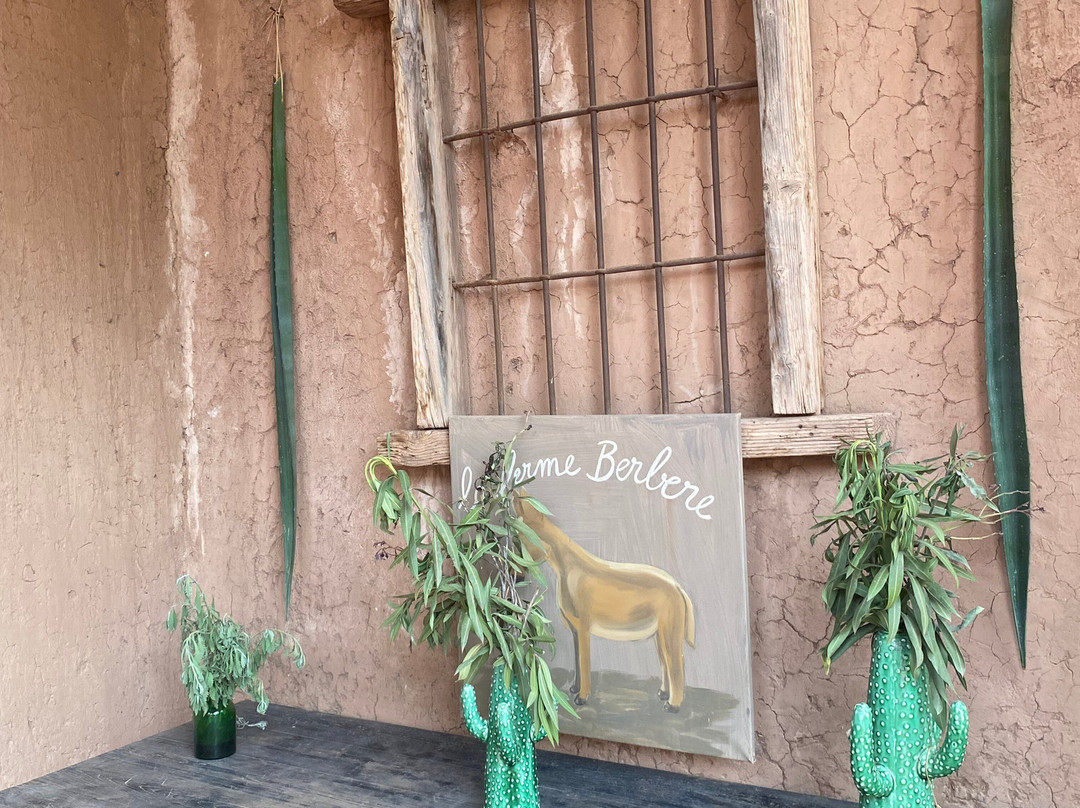 菲尔姆柏柏尔住宿加早餐旅馆主图