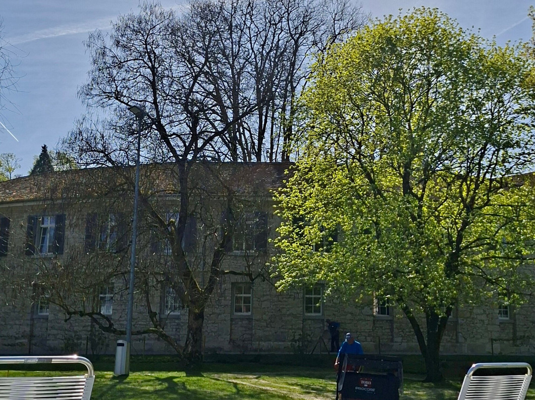 Bad Schinznach-Schinznach Bad必去景点