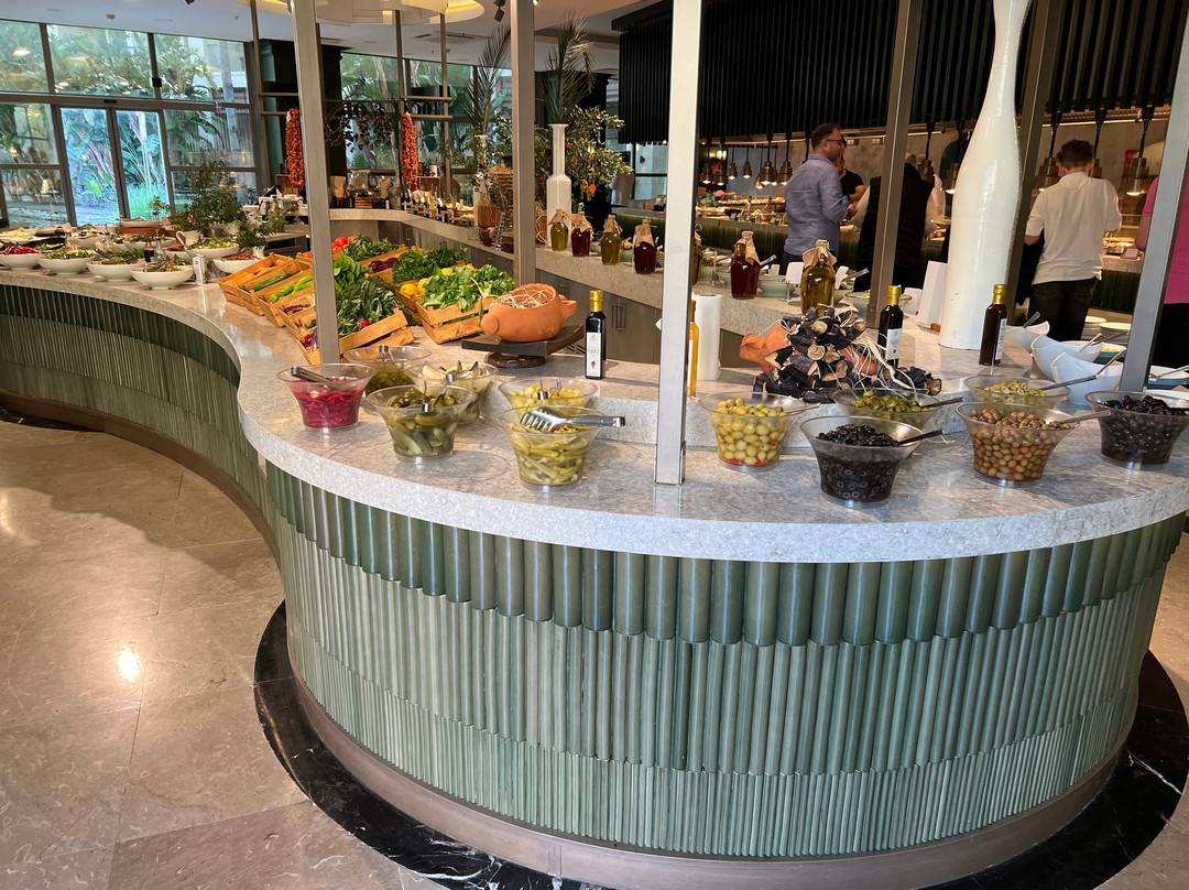 帕洛玛帕夏 - 全包式主图