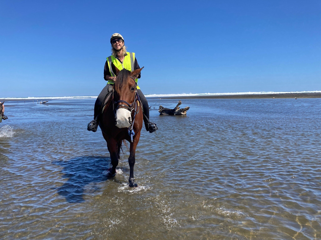 Muriwai Beach Horse Treks-穆里怀海滩必去景点