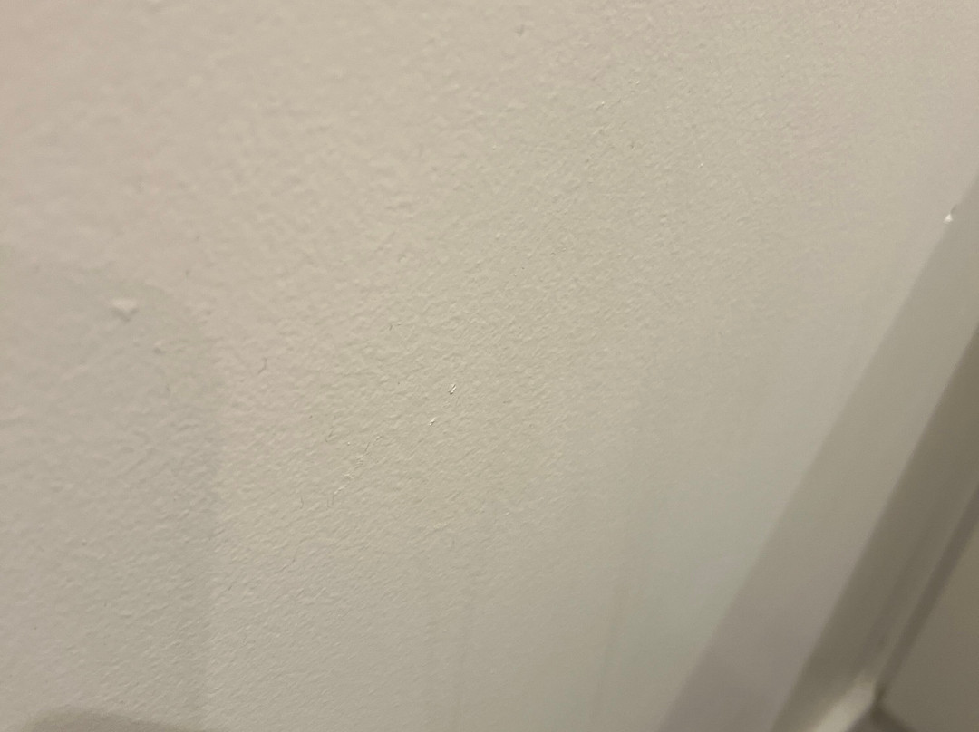 普瑞米尔皮克凌酒店主图