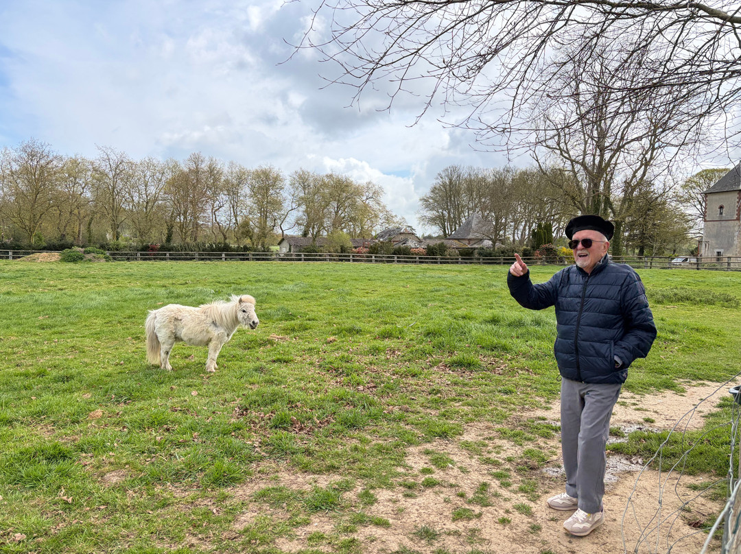 Alpaga Normandie - Animaux Miniatures-巴约必去景点