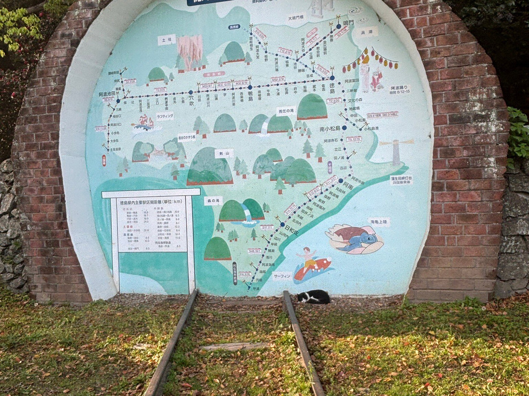 Tokushima Chuo Park-德岛市必去景点