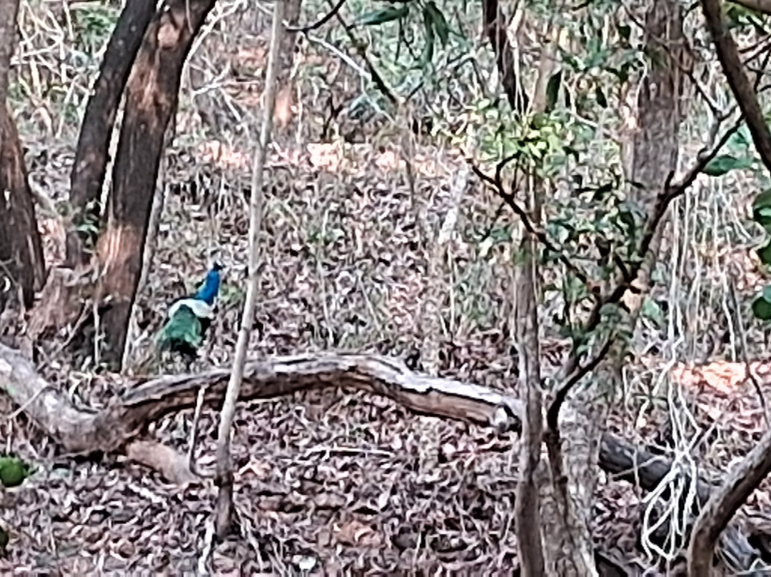 赛韦什兰海滩度假村-宾多尔主图