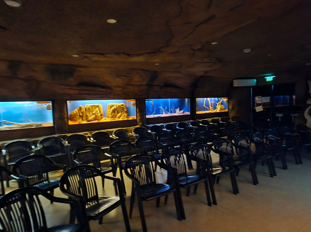 Alice Springs Reptile Centre-爱丽斯泉必去景点