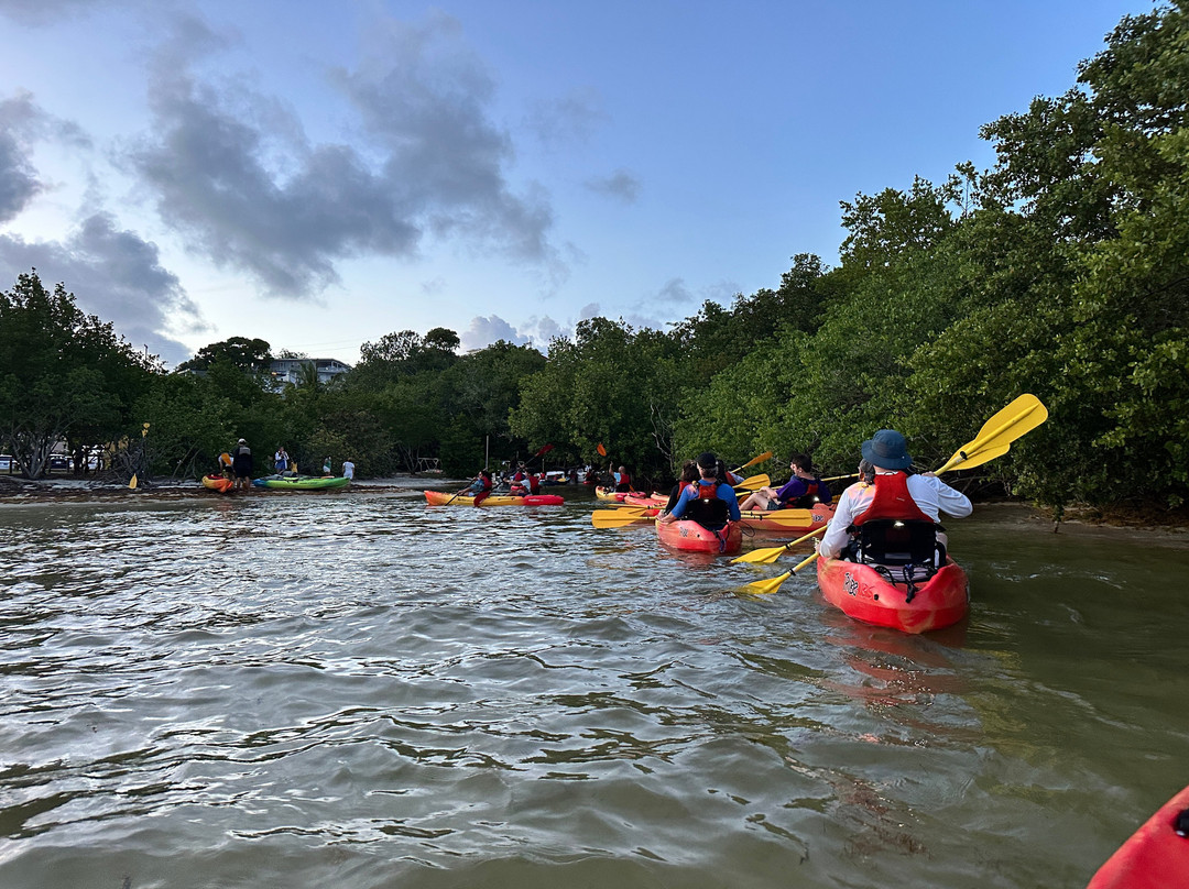 Puerto Rico Bio Bay Tours LLC-法哈多必去景点