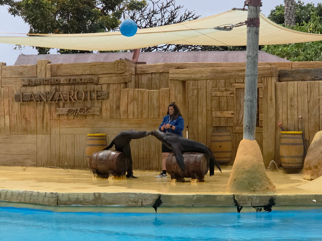 Rancho Texas Lanzarote Park-卡门港必去景点