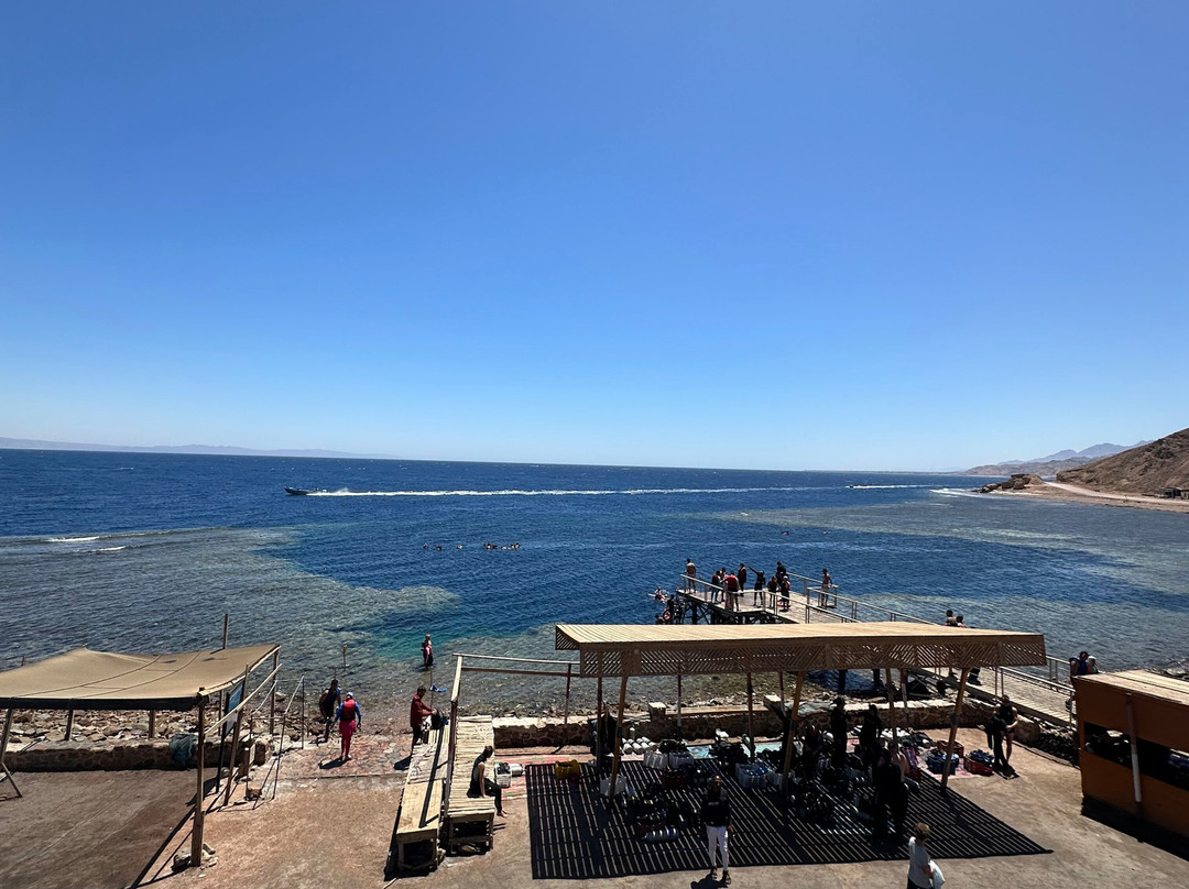 Fish & Friends Diving Centre-达哈卜必去景点