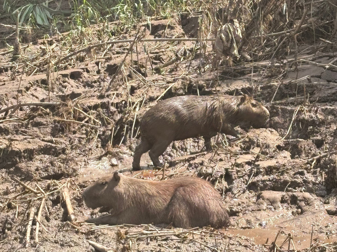 Finca Sachavacayoc lodge主图