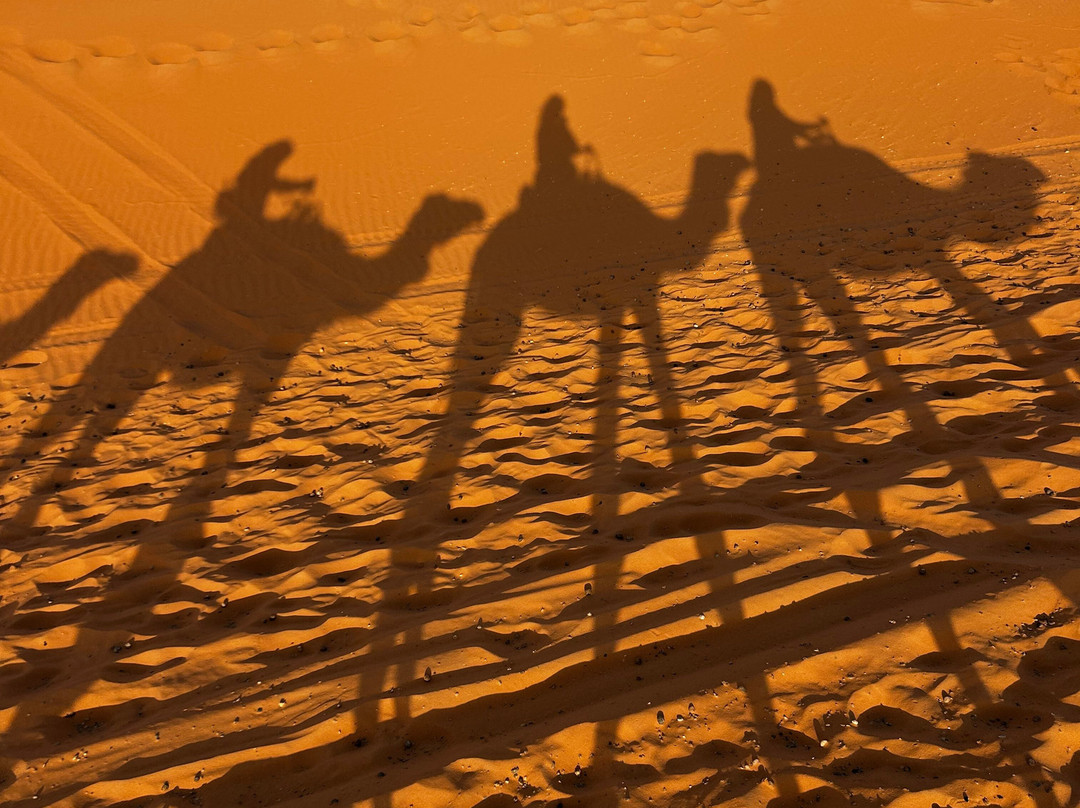 Explore Marrakech Trips-马拉喀什必去景点