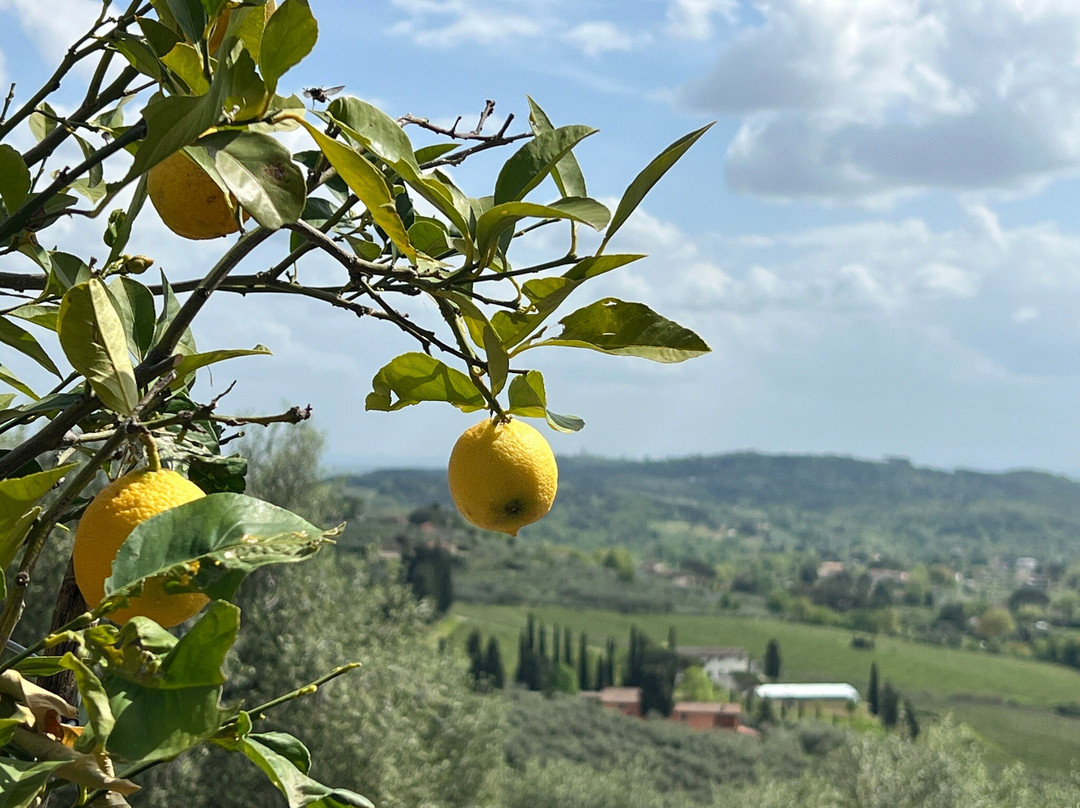 Fattoria di Fubbiano-San Gennaro Vesuviano必去景点