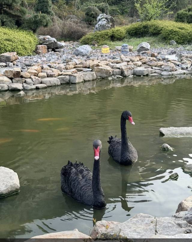 南京园博园悦榕庄主图