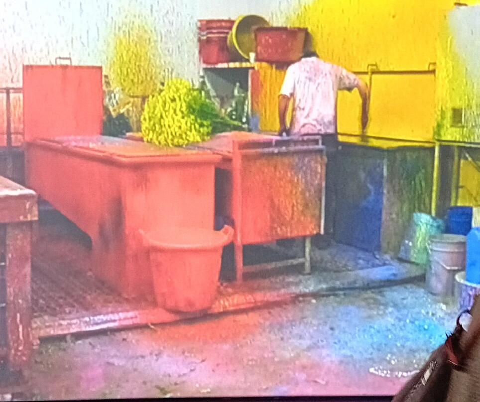 昆莎美术馆-鹿特丹必去景点