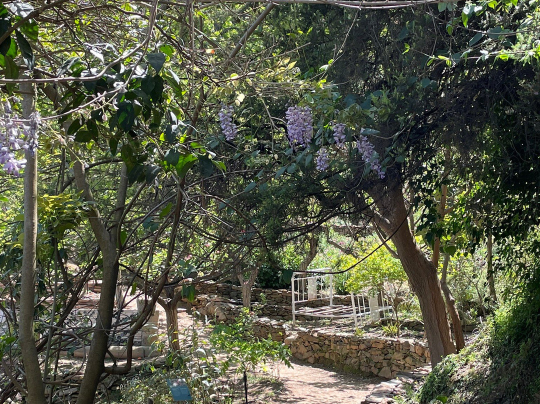 Botanical Garden Of Crete-Fournes必去景点