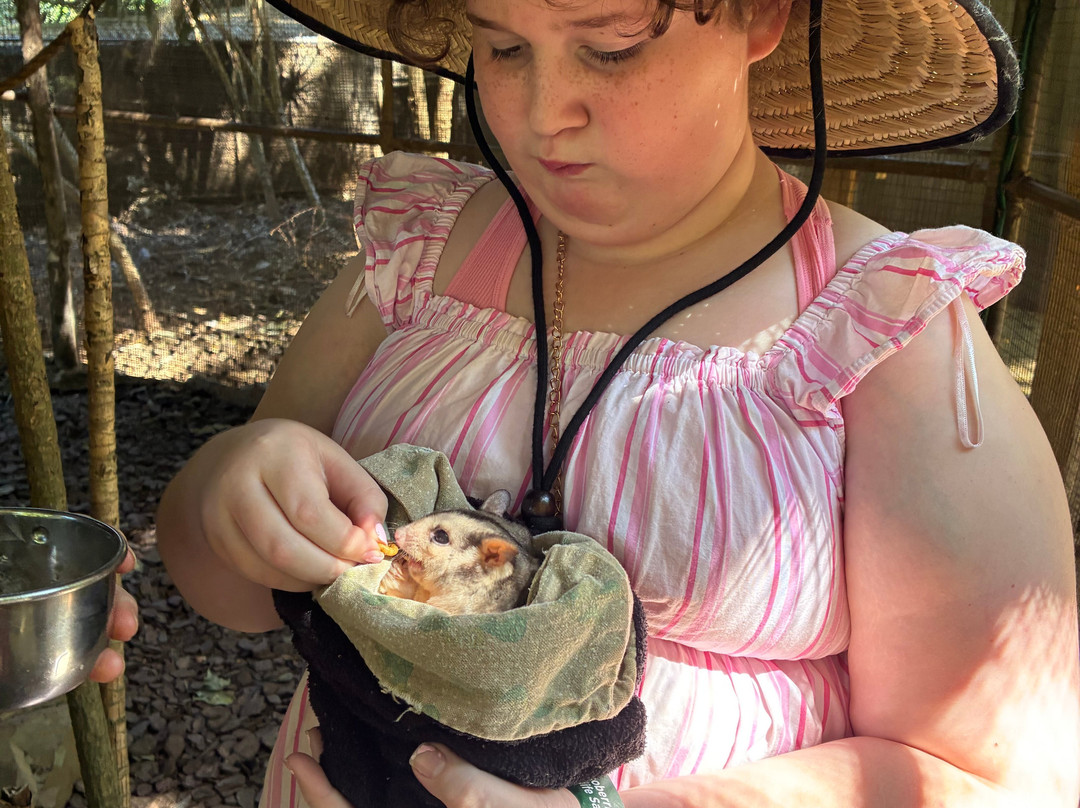 Cooberrie Park Wildlife Sanctuary-Yeppoon必去景点