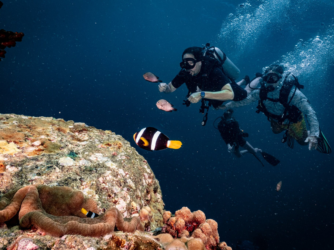 Forra Diving - Day Tour-丽贝岛必去景点