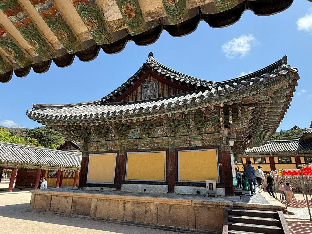 Xizang Odyssey Tours拉萨的一日游-拉萨市必去景点