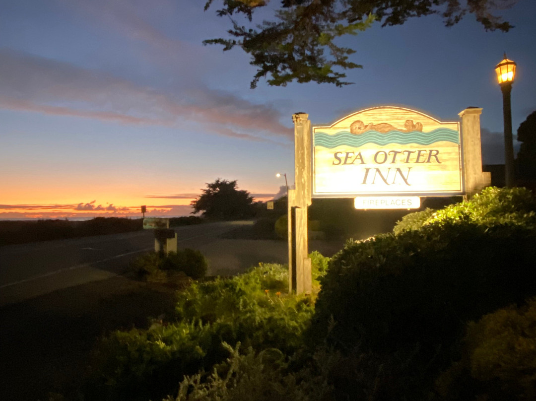 海獭酒店主图