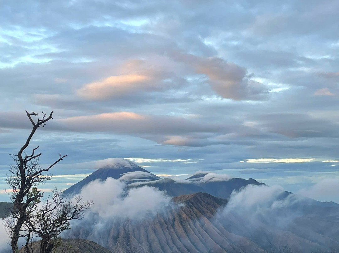 Tour Package Bromo Sunrise (by Erwin)-玛琅必去景点