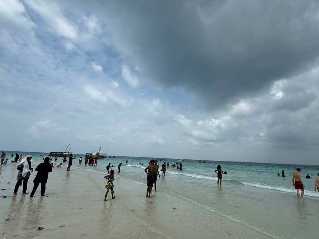 Kisite-Mpunguti Marine National Park and Reserve-Shimoni必去景点