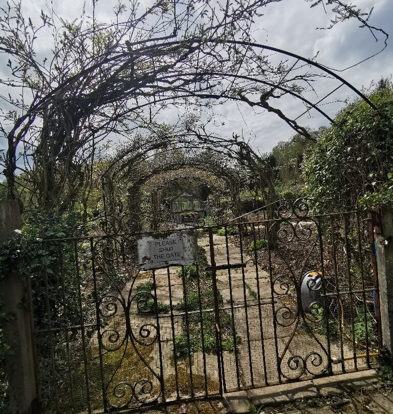 Caerau Gardens-Bala必去景点