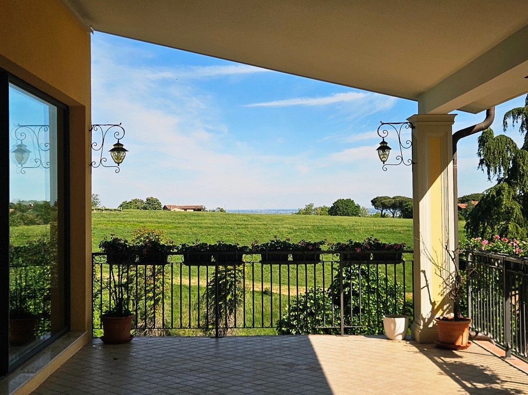 Albergo Cane'