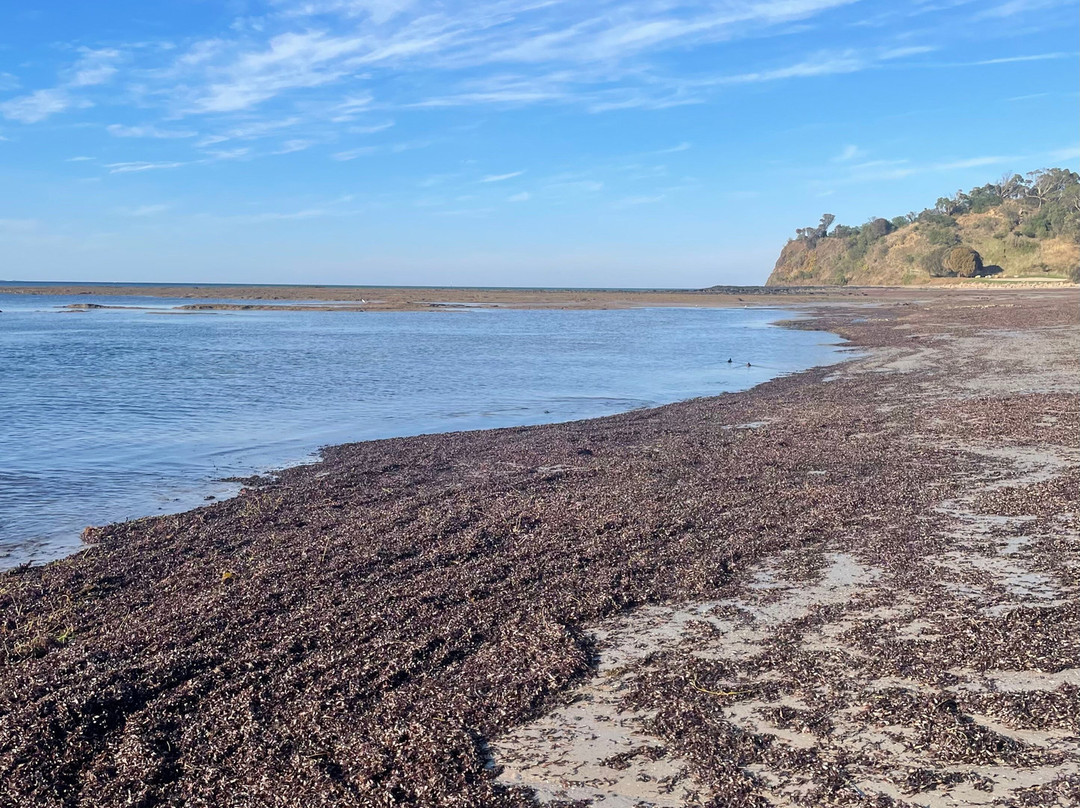 Shoreham Beach-Shoreham必去景点