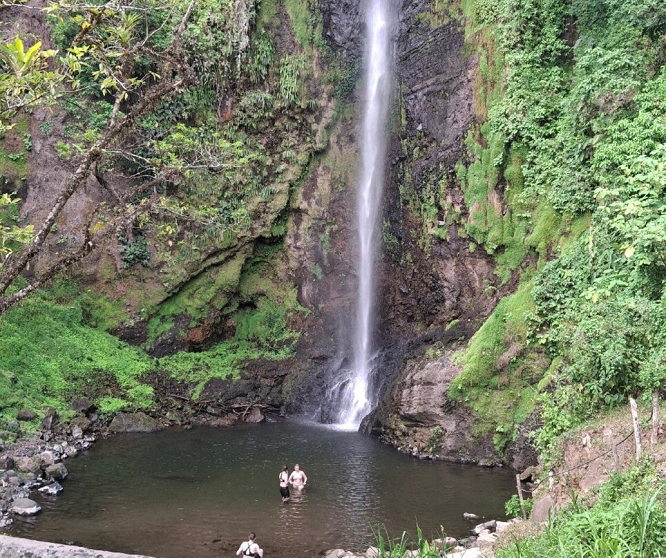 Manakin Waterfalls Nature Reserve.-Tilaran必去景点