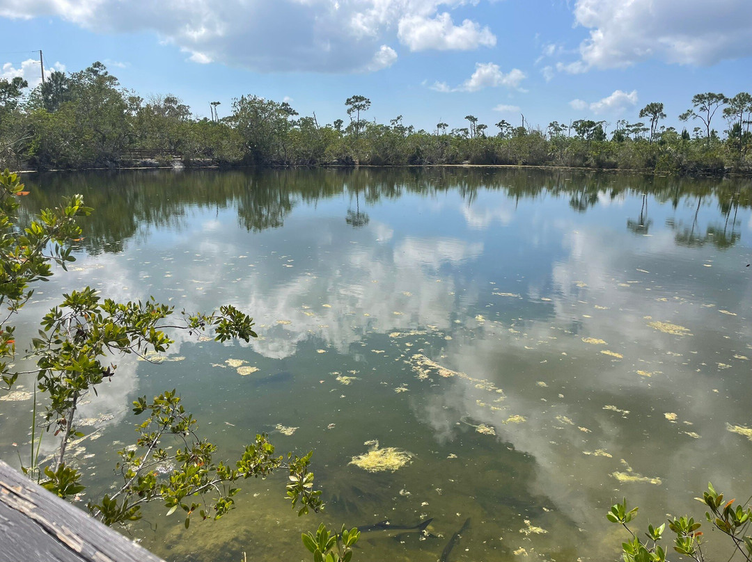 Blue Hole-Big Pine Key必去景点